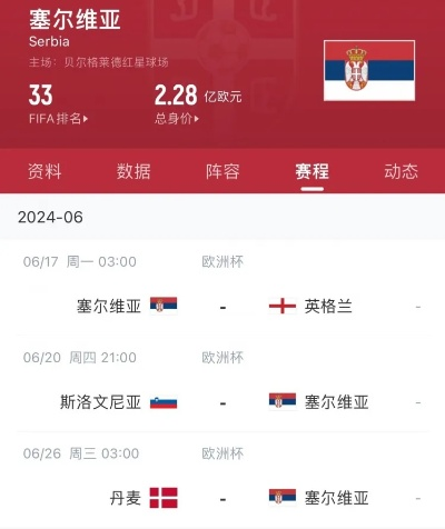 塞尔维亚世界杯3号 塞尔维亚世界杯号码-第3张图片-www.211178.com_果博福布斯